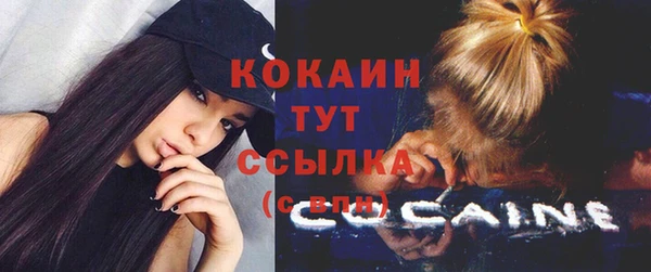 кристаллы Дмитриев