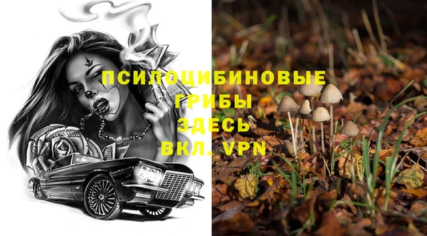 кристаллы Дмитриев
