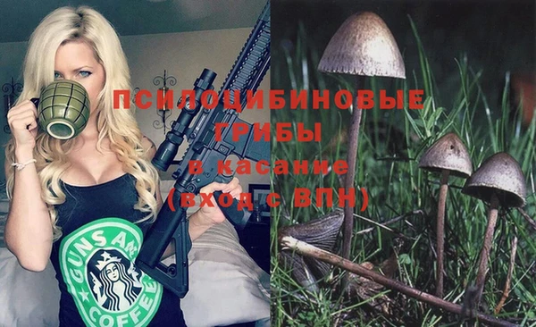 мяу мяу мука Дмитровск