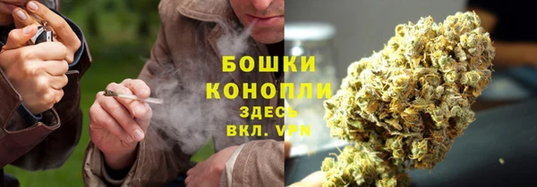 соль курить ск Дмитров